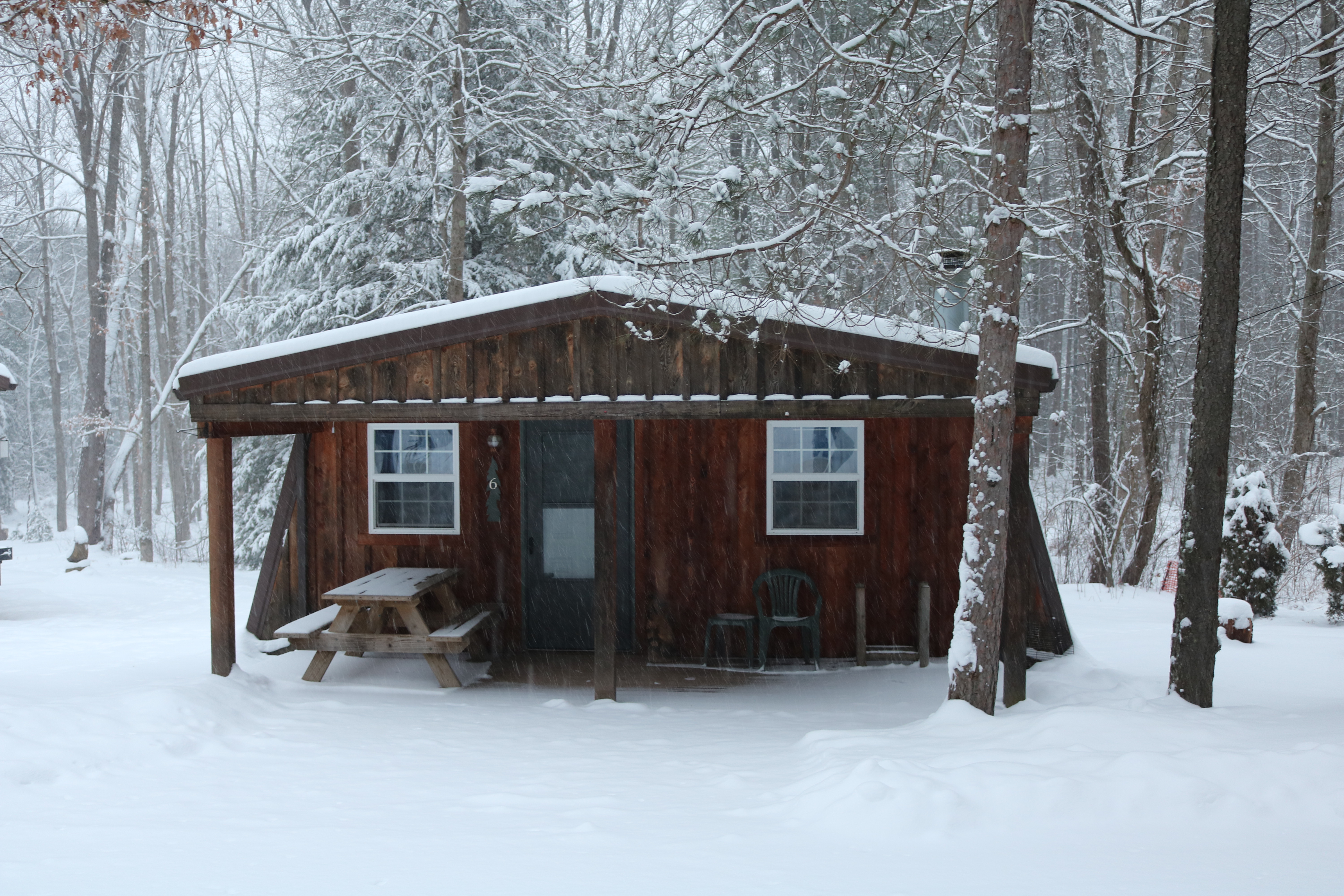 Cabin 6 Winter 2018