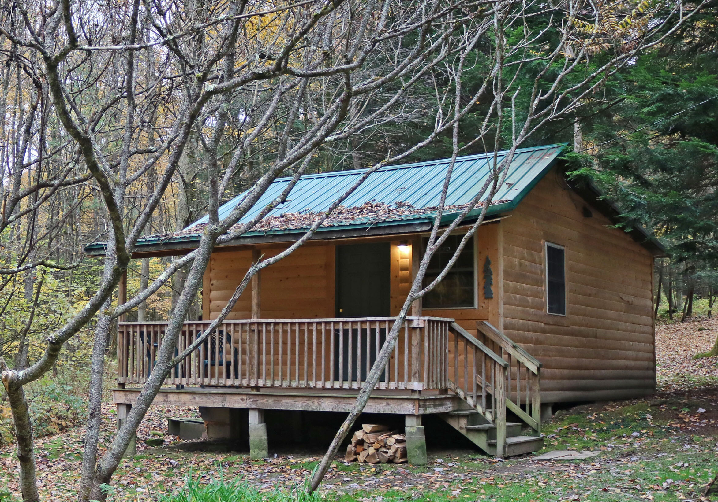 Whispering Oaks Cabin 2 Fall (edit)